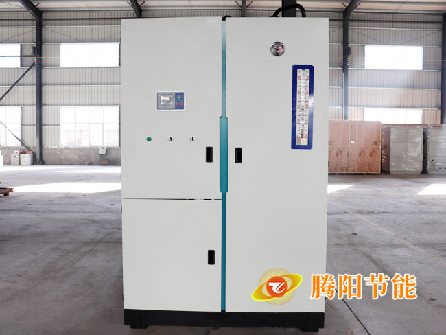 燃?xì)獍l(fā)生器