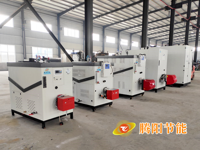 燃?xì)獍l(fā)生器